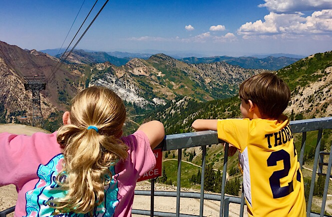 Snowbird Ski Resort in the Summer!