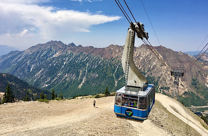 Snowbird ski resort summer