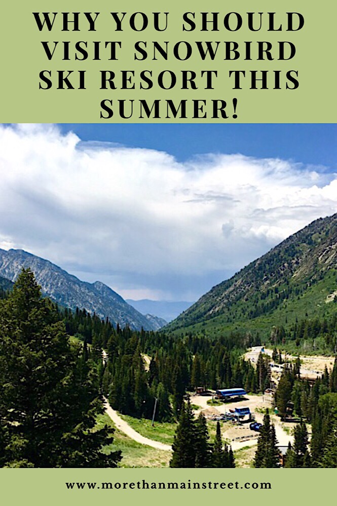 Why you should visit Snowbird Ski Resort this Summer! 
