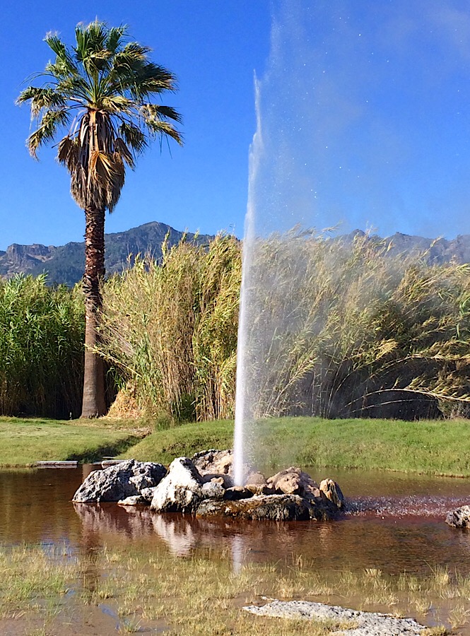 Napa Valley with Kids- Calistoga California Old Faithful Geyser