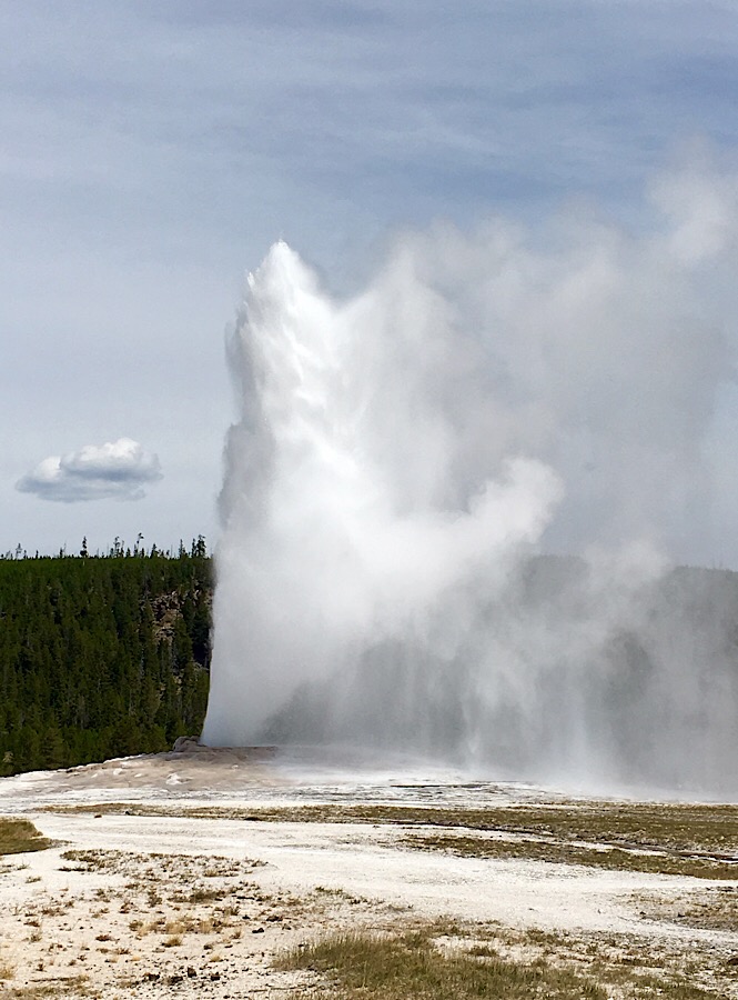 The Ultimate Road Trip to Yellowstone & Jackson Hole WY featured by top US family travel blog, More Than Main Street: Old Faithful Yellowstone National Park 