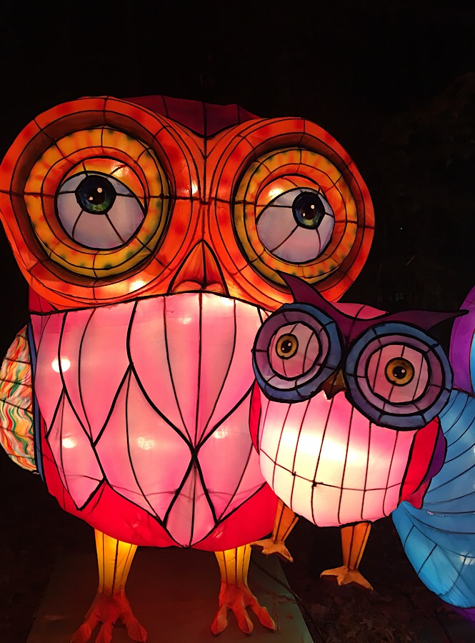 NC Chinese Lantern Festival