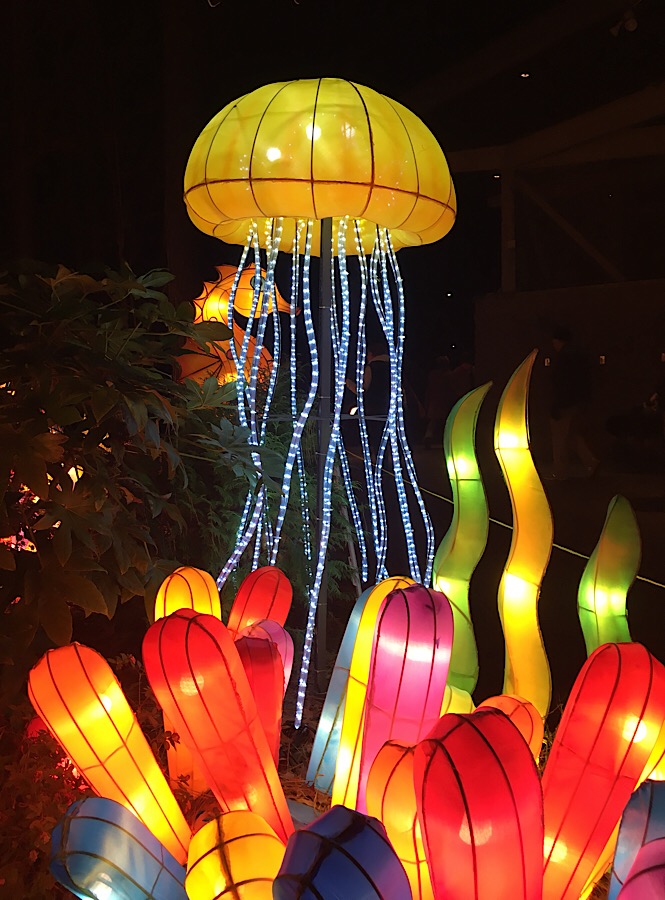 NC Chinese Lantern Festival