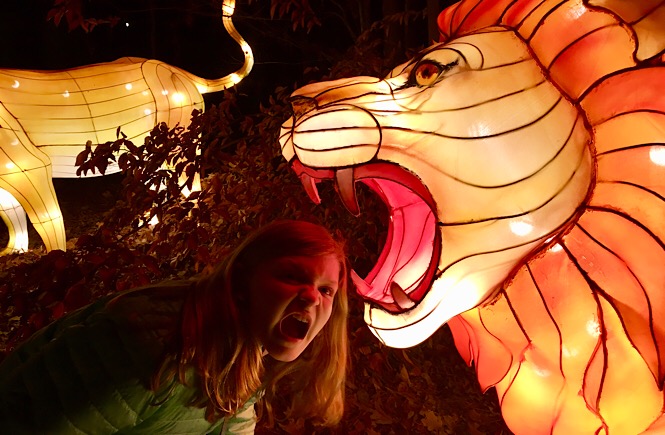 NC Chinese Lantern Festival