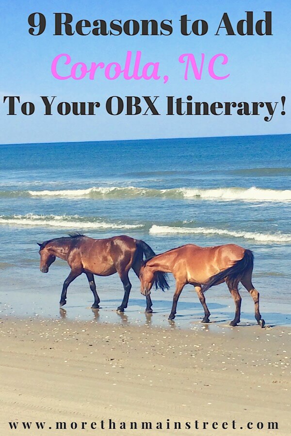 wild horses of corolla