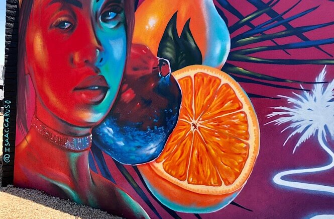 Phoenix Street Art: 11 Incredible Roosevelt Row Murals featured by top US travel blog, More than Main Street