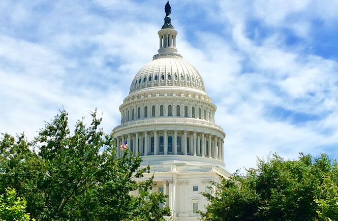 The United States Capitol in Washington DC.