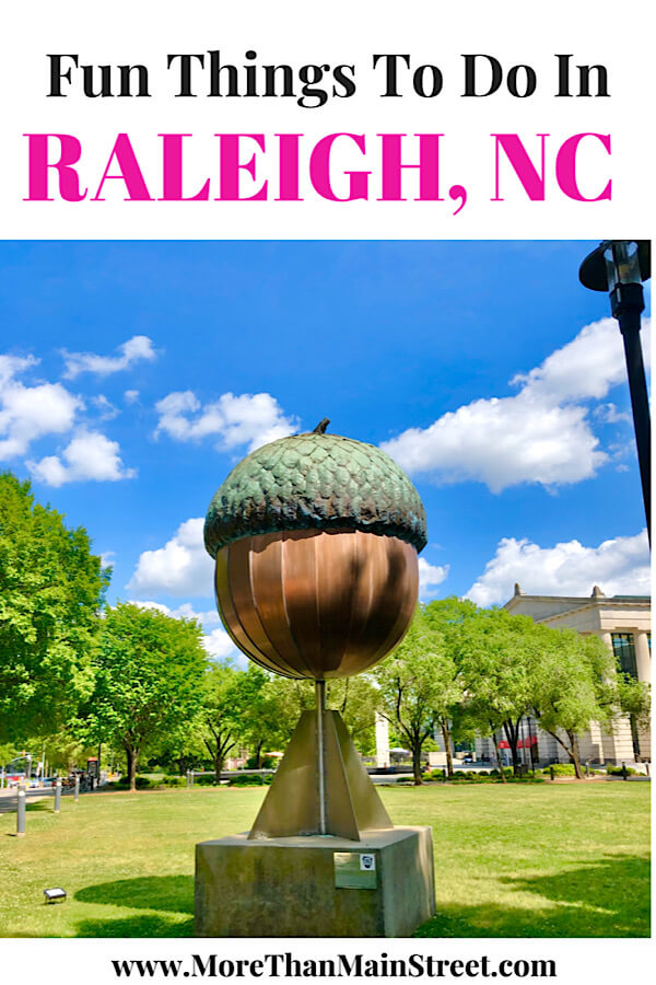 Top 10 Fun Things to Do in Raleigh with Kids tips featured by top North Carolina travel blog More than Main Street.