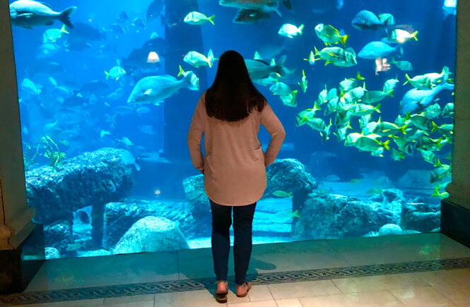 Bahamas Family Vacation: Top 10 Tips for Visiting Atlantis with Kids as featured by top US family travel blog More than Main Street: aquarium called the Dig.