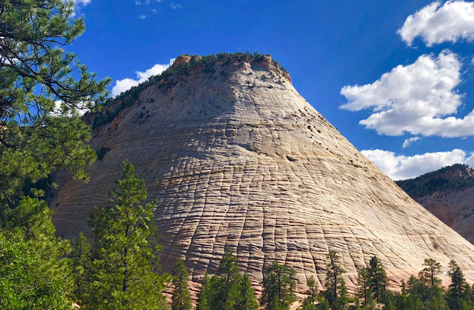 How to spend one day in Zion National Park: a travel guide featuring the top things to do by top US travel blog, More than Main Street; checkerboard mesa.