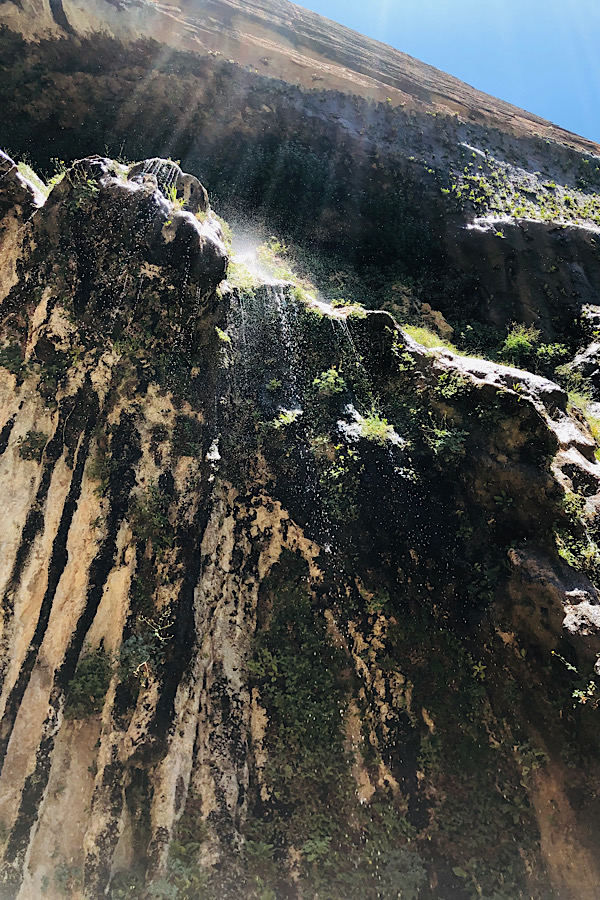 How to spend one day in Zion National Park: a travel guide featuring the top things to do by top US travel blog, More than Main Street: Weeping Rock