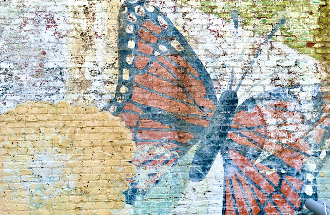 Faded butterfly mural in downtown Raleigh NC featured by NC local and top US travel blog More than Main Street