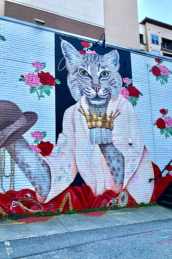 Top 10 Raleigh NC Murals to Visit with your Family featured by top US travel blog More than Main Street: bobcat mural.