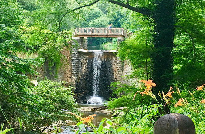 The ultimate North Carolina road trip itinerary showcasing the top 10 best cities to visit featured by top US travel blog, More than Main Street- Waterfall in Asheville NC.
