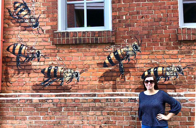 Burts Bees wall mural in Downtown Durham called Swarm.