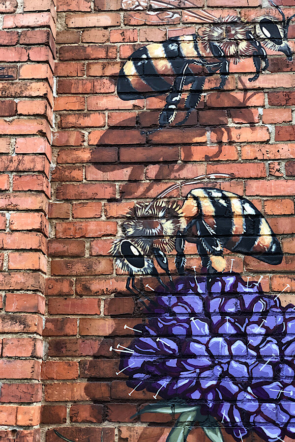 Must See Durham NC Wall Murals & Street Art featured by local NC travel blog, More than Main Street-