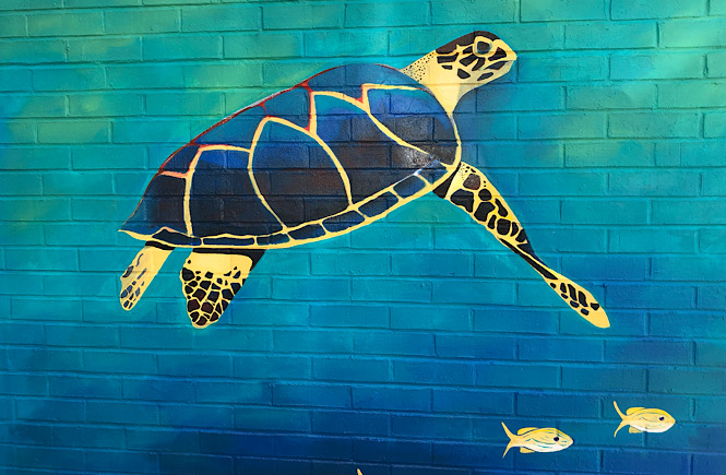 Must See Durham NC Wall Murals & Street Art featured by local NC travel blog, More than Main Street- turtle wall mural.