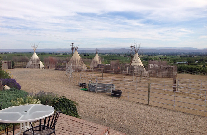 Staying in a teepee in Washington state is a very unique and cool experience.