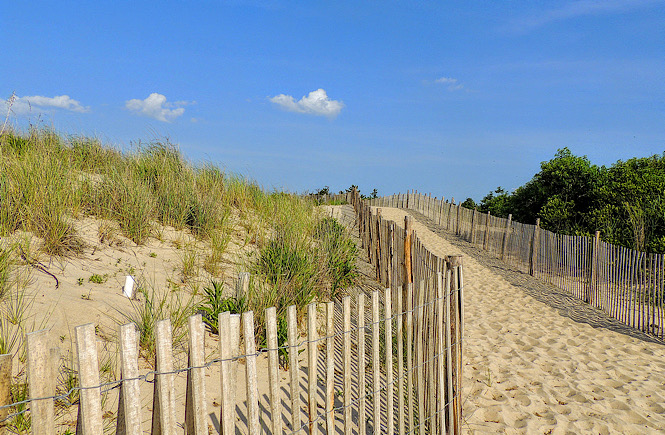 Cape Henlopen State Park in Delaware is a great family friendly beach on the east coast of the USA featured by top US travel blog, More than Main Street.