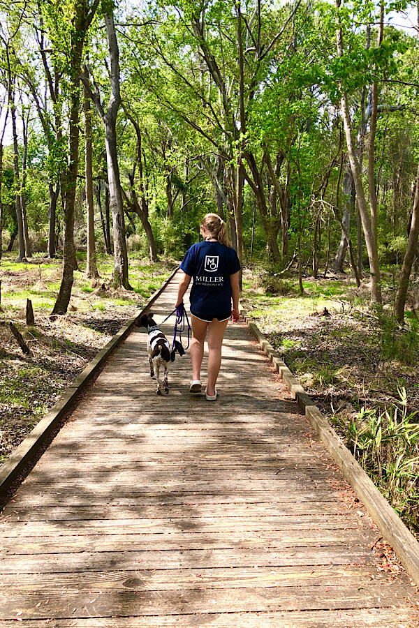 Top 10 best things to do in Carolina Beach and Kure Beach NC featured by top US travel blog, More than Main Street: hiking in Carolina Beach State Park.