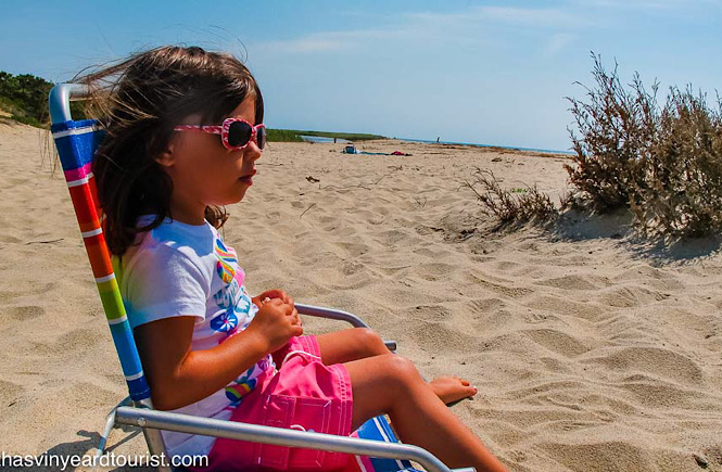 Children will love the beaches on Martha's Vineyard.