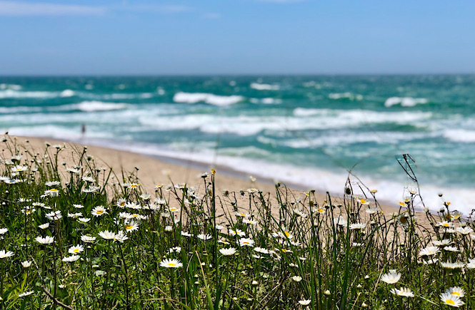 Cape Cod beaches are some of the best family beaches on the east coast in the USA- Nantucket, Massachusetts- featured by top US travel blog, More than Main Street.