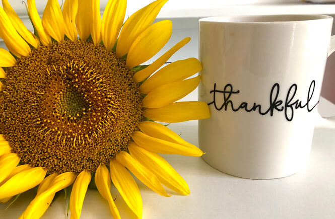 Being Grateful: 100 Unique Things to Be Thankful for featured by top lifestyle blog, More than Main Street. Image of sunflower and thankful coffee mug.