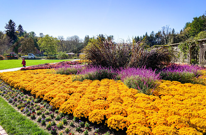 The gardens at the Biltmore Estate are always incredible!