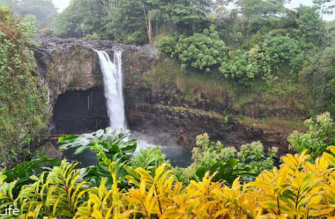 A Big Island road trip in Hawaii with lush forests and waterfalls belongs on every USA bucket list.