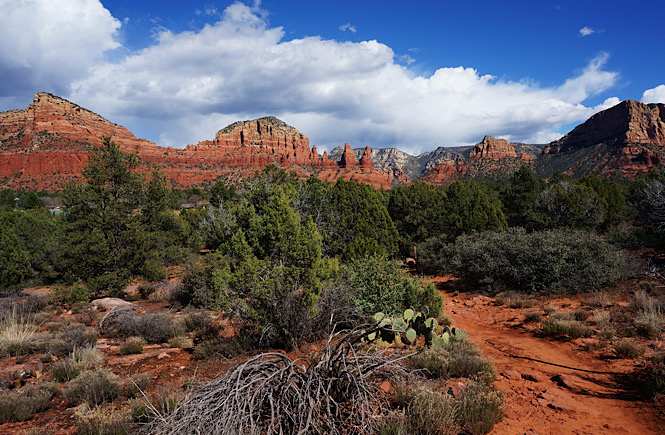 The incredible scenery in Sedona Arizona- the red rocks are a gorgeous contrast against the blue cloudy skies.