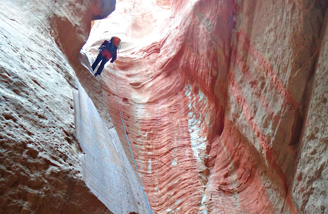 Rappelling in Zion National Park is a fun adventurous road trip activity in Utah!