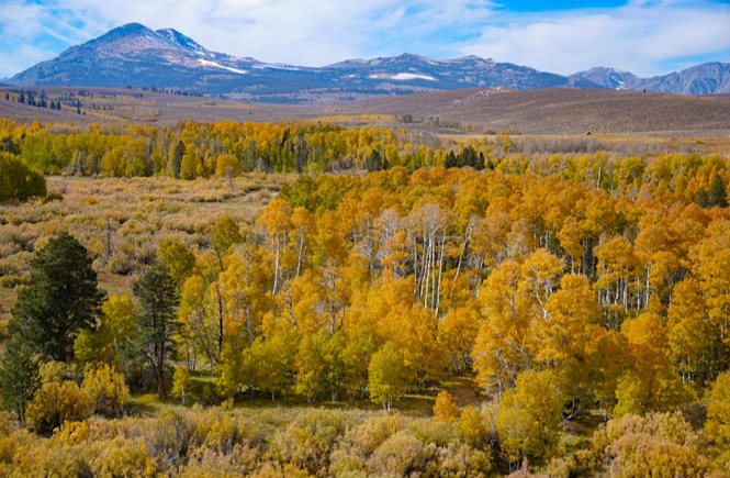 Eastern California down Highway 395 is a unique USA road trip!