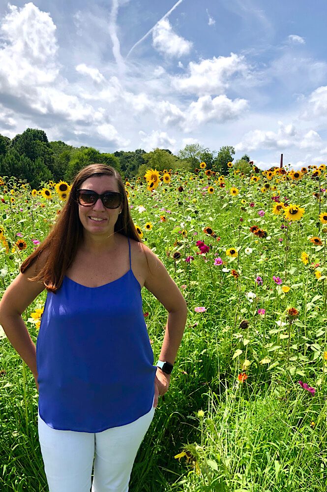 flower fields at the NC Museum of Art