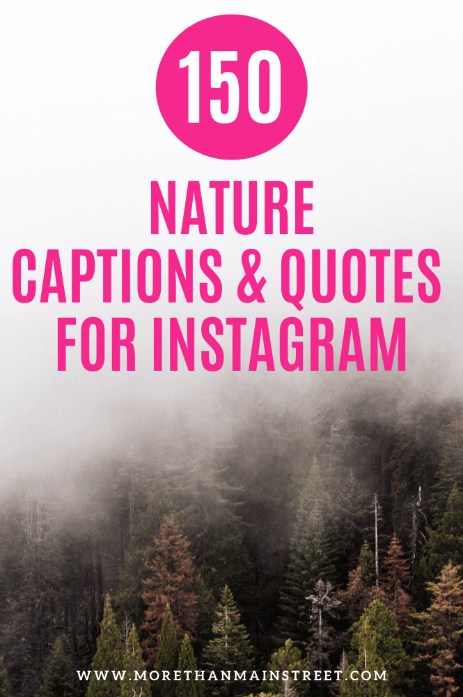 Nature Instagram captions and quotes