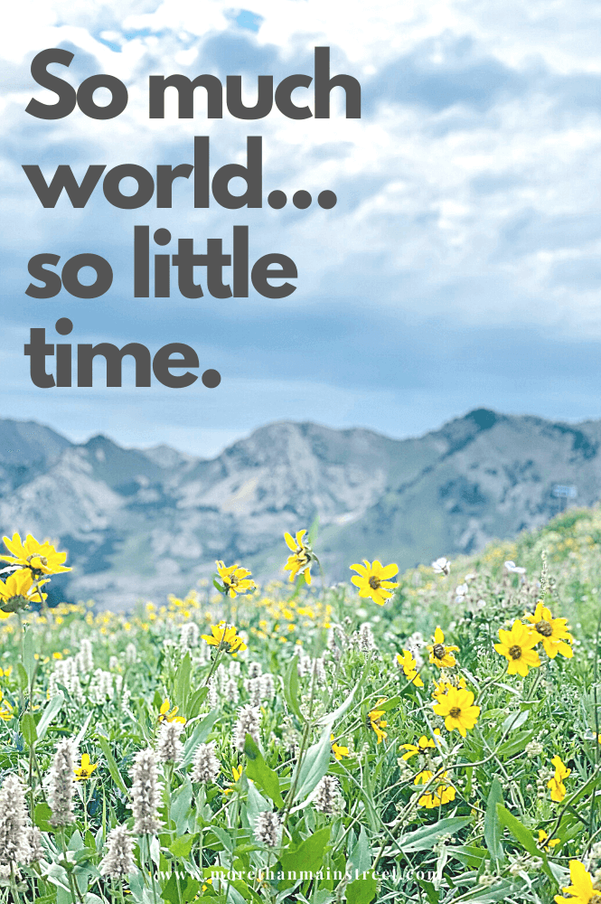 So much world, so little time travel caption with wildflowers in the mountains.