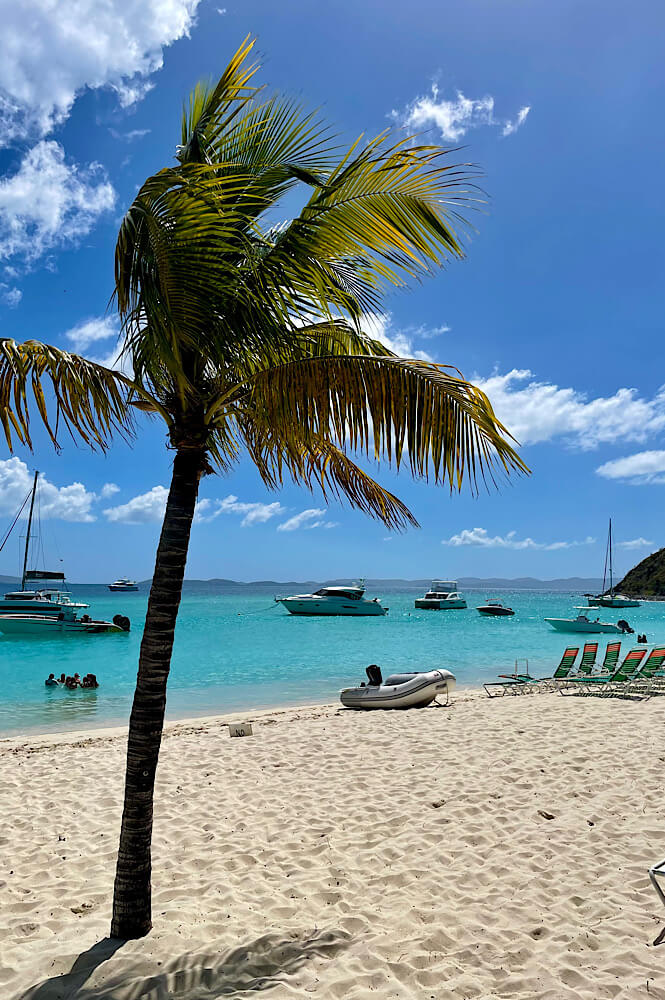 Palm trees, white sandy beaches and crystal clear water on Jost Van Dyke BVI.