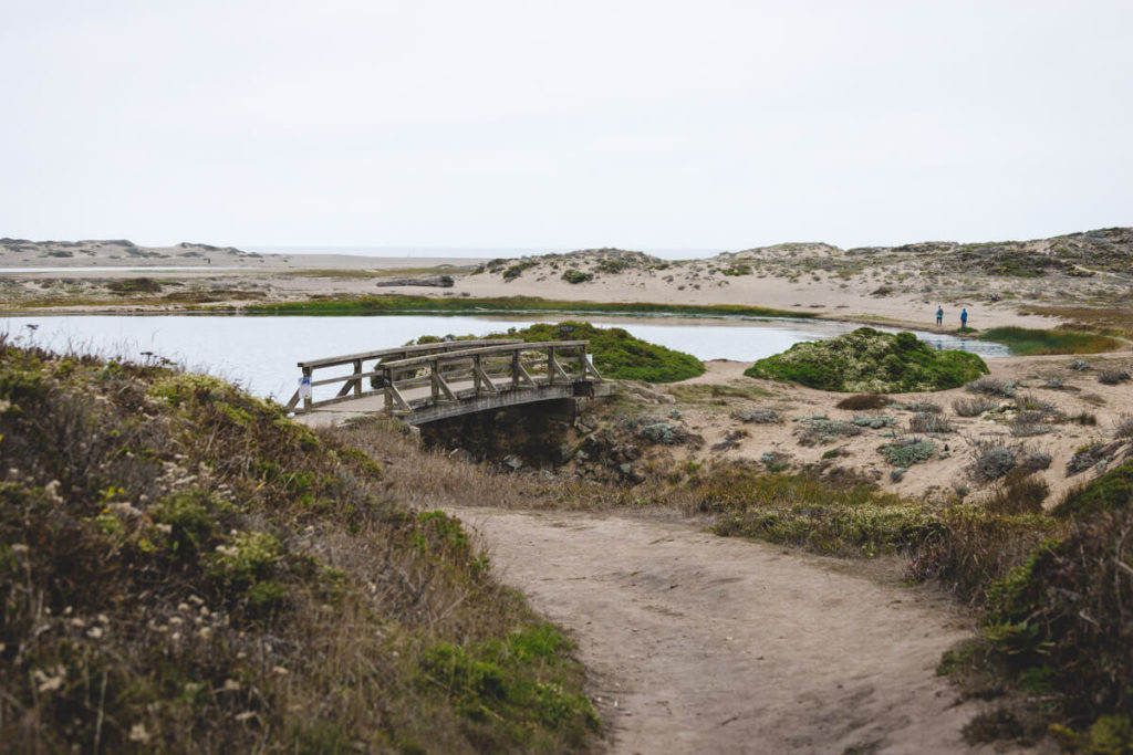 Abbots lagoon in Point Reyes California