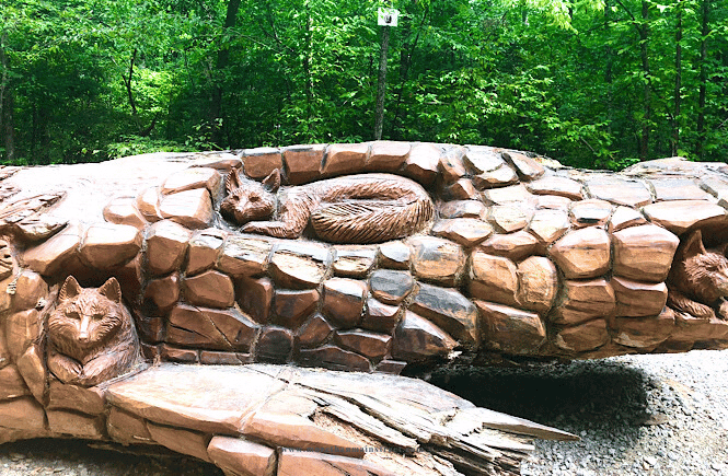 chainsaw carved tree at umstead park in raleigh nc
