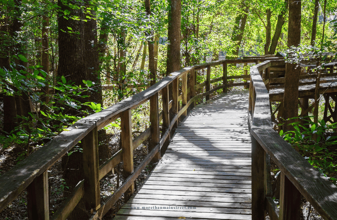 Congaree National Park