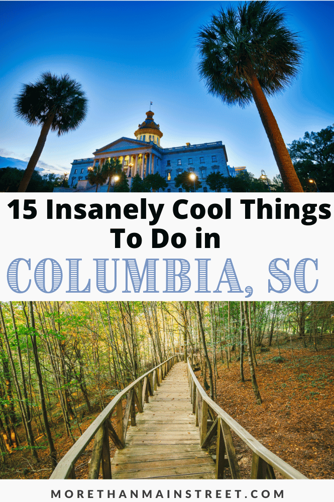 top image is the state capitol of SC with two palm trees and the bottom in the boardwalk in Congaree National Park