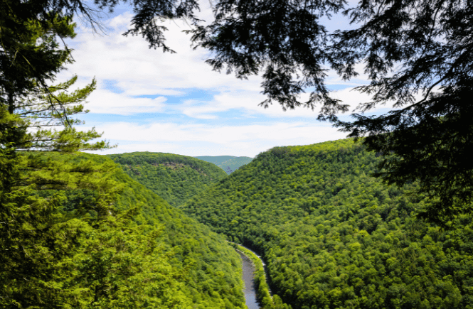 Gorgeous green valleys of Pine Creek Gorge in Pennsylvania stock photo from Canva
