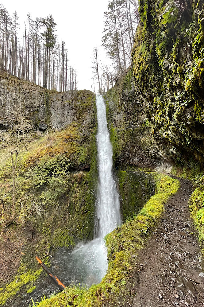 Tunnel Falls in Oregon