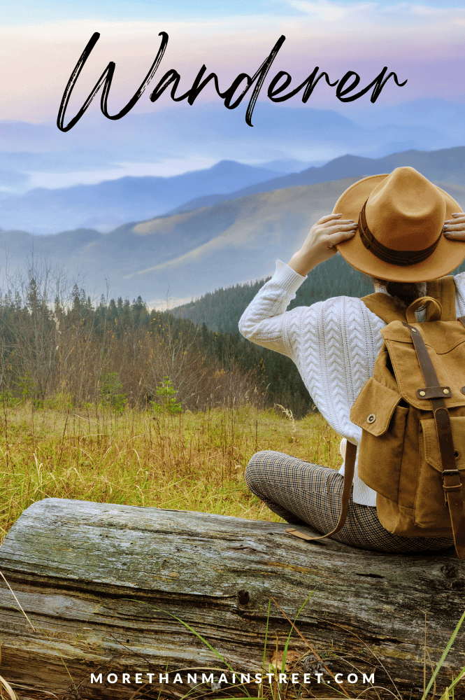 "Wanderer". Image of a female sitting on a log holding her hat looking out over the mountains