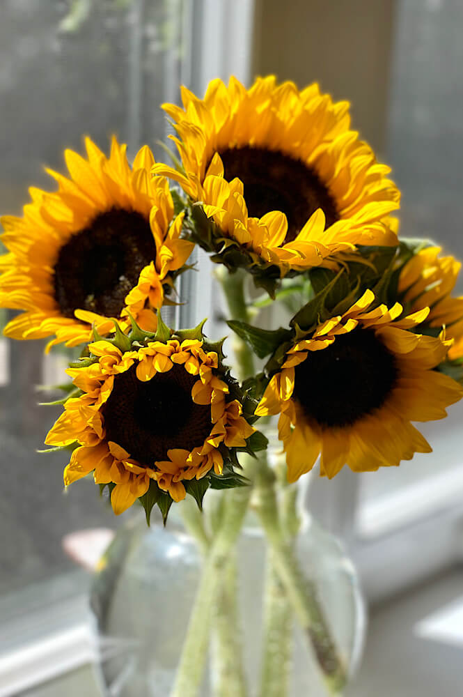 sunflowers in a vase which are a simple example of how to romanticize your life

