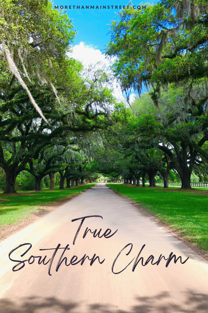 True southern charm in Charleston South Carolina