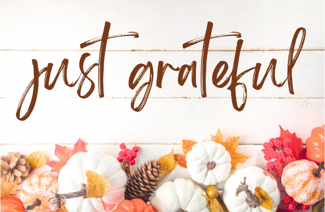 Just grateful with images of white pumpkins with fall leaves and pinecones