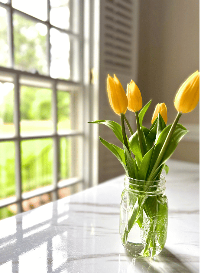 yellow tulips on a white marble desk by a window showing simple joys 
