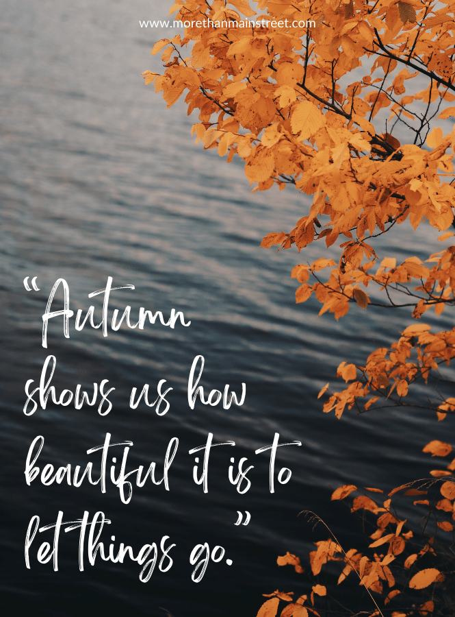 Fall Quote: "Autumn shows us how beautiful it is to let things go."