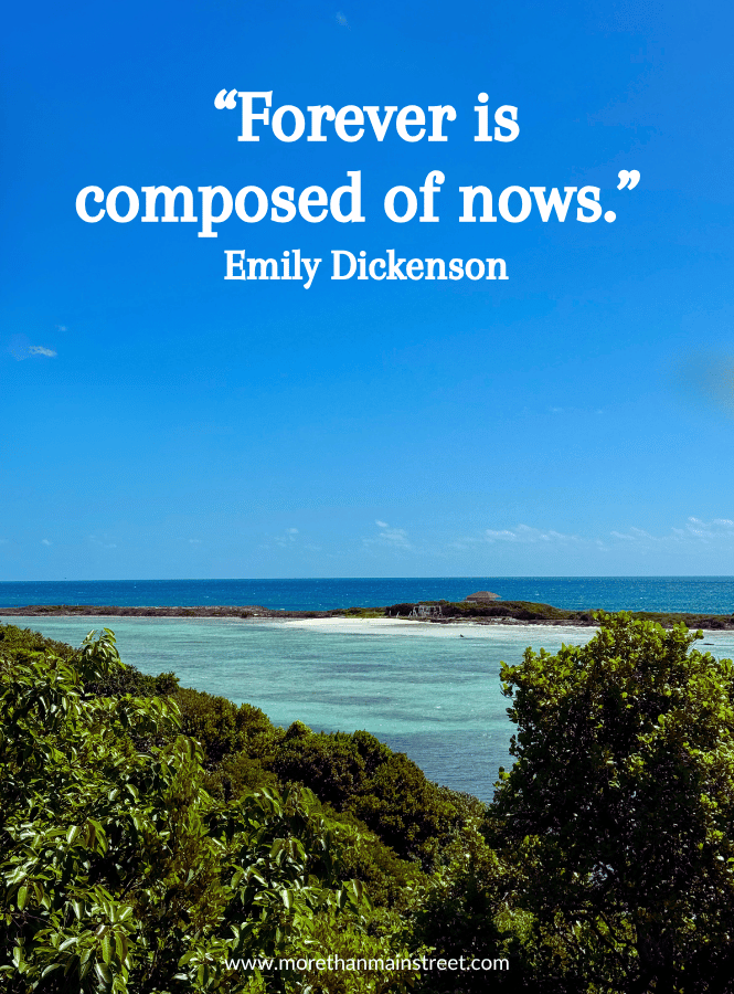 One of my favorite vision board quotes by Emily Dickinson "Forever is composed of nows" with an image of a blue sky over Caribbean blue waters.
